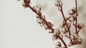 cotton, flowers, vase